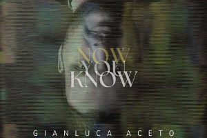 [Gianluca Aceto – Now You Know 2024][24Bit-48kHz][Hi-Res Flac][516MB][百度网盘]