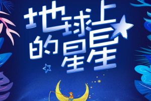 [儿童文学]《地球上的星星》[MP3下载][全13集][45.2M][百度网盘]