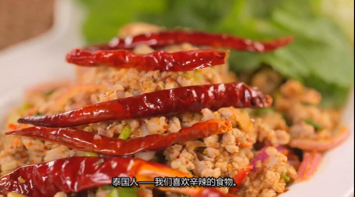 纪录片《奇特食物：美味终点站 Bizarre Foods：Delicious Destinations》[1080P][第九季共14集 英语中字][百度网盘]