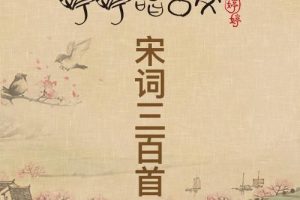 [儿童音乐]《婷婷唱古文：宋词精选》[MP3下载][全10集][16.66M][百度网盘]