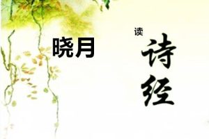 [儿童文学]《晓月学国学】解读《诗经》7》[MP3下载][全308集][952.2M][百度网盘]