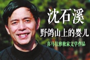 [儿童文学]《沈石溪：野鸽山上的婴儿》[MP3下载][全44集][300.65M][百度网盘]