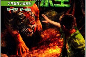 [儿童文学]《6Y+ 猛虎火山的生死逃亡》[MP3下载][全19集][126.2M][百度网盘]