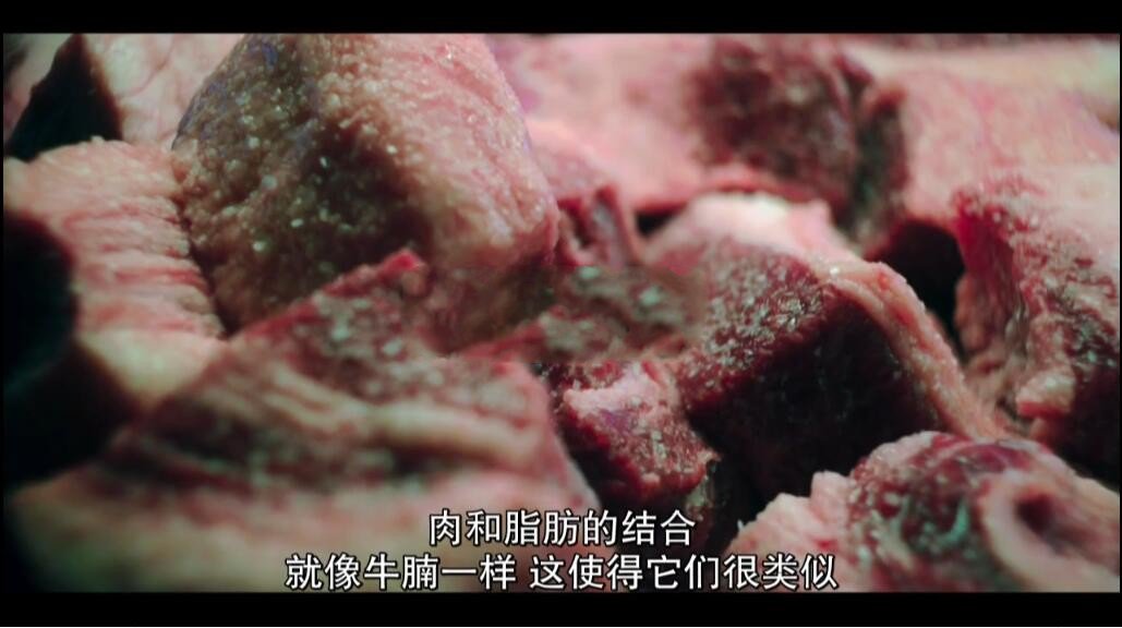 纪录片《塔可美食纪/塔可大发现》[720P][第二季共7集 英语中字][百度网盘]