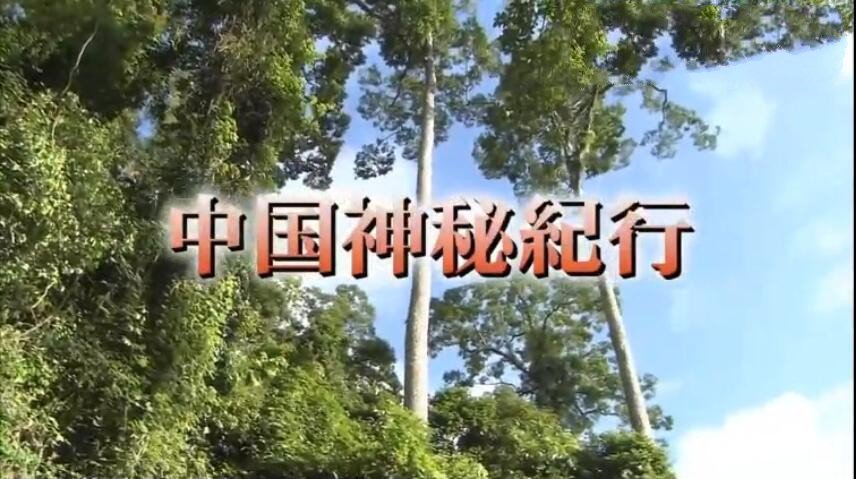 纪录片《中国神秘纪行》[1080P/720P][两季 全24集 日语配音中文字幕][百度网盘]