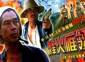 2005《烽火雁翎》[剧情/战争][汉语普通话/全1集5.3G][百度下载]