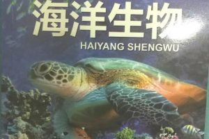 [儿童绘本]《海洋生物》[MP3下载][全37集][57.58M][百度网盘]