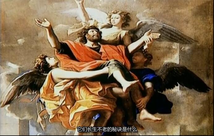 纪录片《圣经的秘密/圣经之谜 Mysteries of the Bible》[1080P][第一季共21集 英语中字][百度网盘]