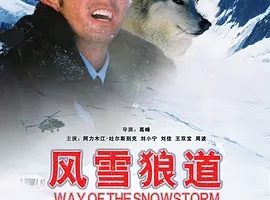 2007《风雪狼道》[汉语普通话/全1集4.75G][百度下载]