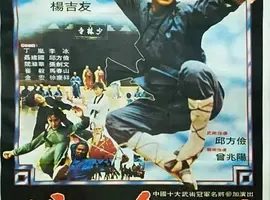 1983《少林寺弟子》[剧情/动作/武侠/古装][汉语普通话/全1集4.59G][百度下载]