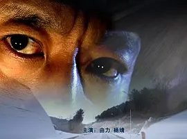 2008《特别通行证》[汉语普通话/全1集4.31G][百度下载]