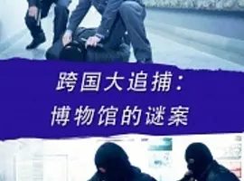 2016《跨国大追捕：博物馆的谜案》[动作/犯罪][汉语普通话/全1集4.85G][百度下载]