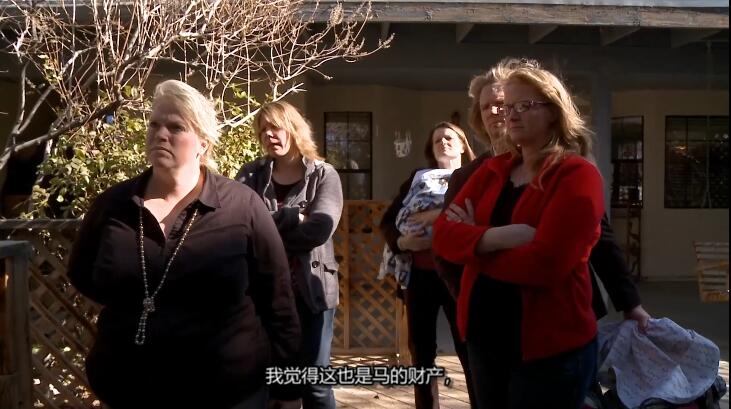 纪录片《我的妻子们是好姐妹 Sister Wives》[1080P][第四季共11集 英语中字][百度网盘]