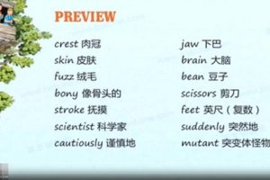 英国早教动画《神奇树屋精读视频课程 Magic Tree House》全6集 国语版 高清/MP4/7.1G 百度云网盘下载