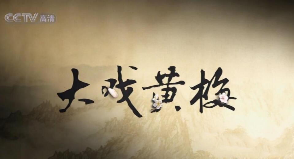 纪录片《大戏黄梅》[720P][10集 国语配音中文字幕][百度网盘]