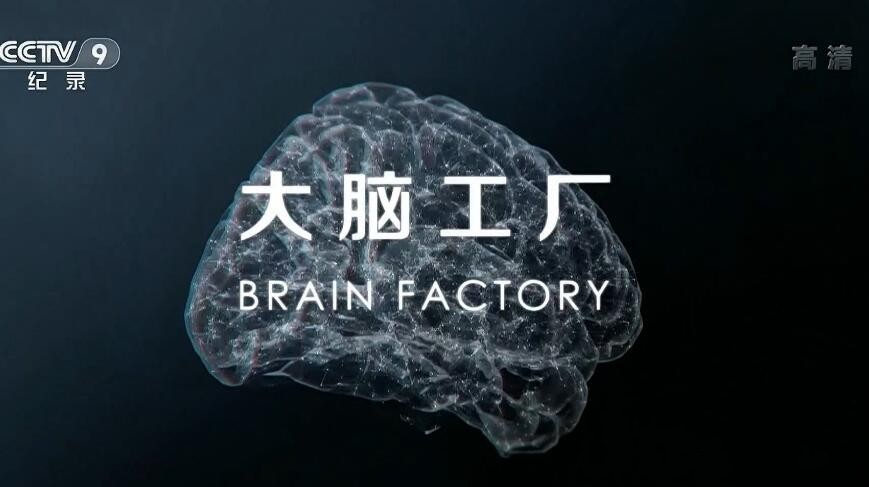 纪录片《大脑工厂》[1080P][1集 国语配音中文字幕][百度网盘]