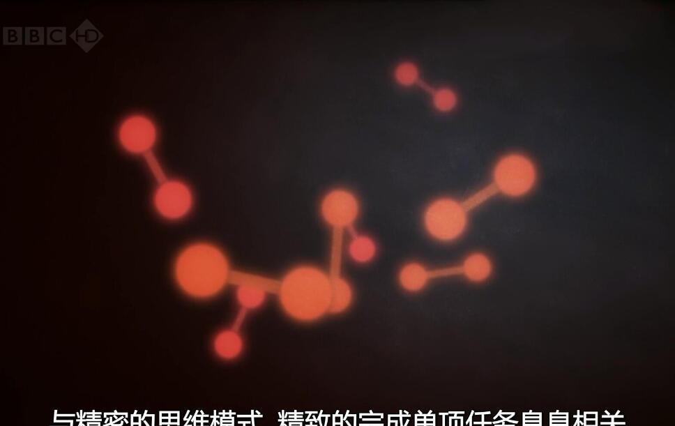 纪录片《天才是怎样炼成的？》[720P][1集 英语配音中文字幕][百度网盘]