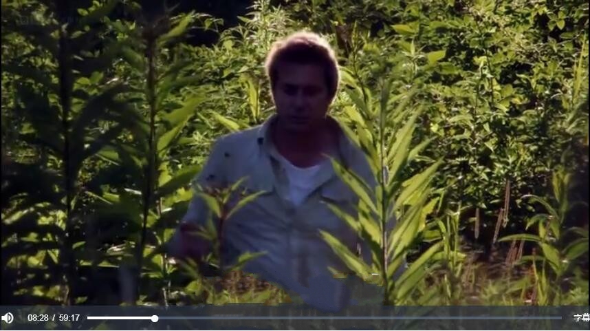 纪录片《石油地球》[1080P][3集 英语配音中英双字][百度网盘]