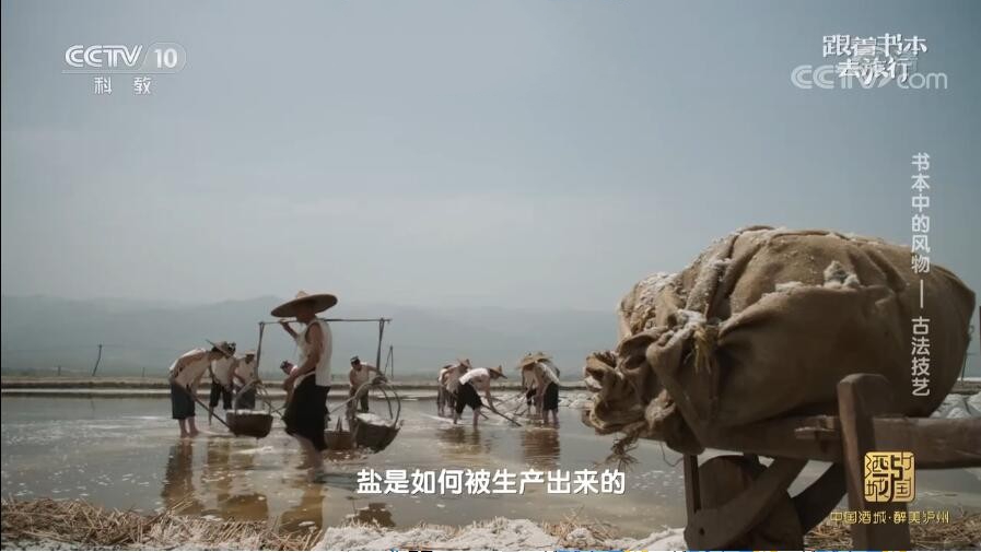 纪录片《跟着书本去旅行》[720P][2021全年共266集 国语中字][百度网盘]