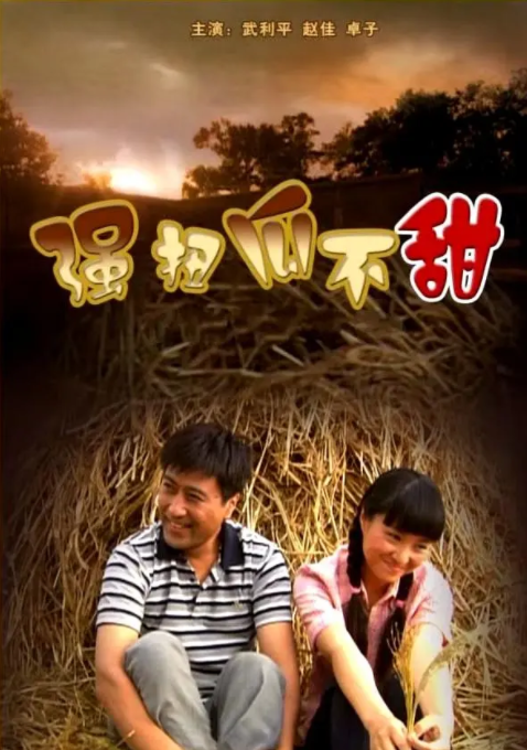 [2008][中国大陆]《强扭瓜不甜》[汉语普通话][4.86GB][百度网盘]