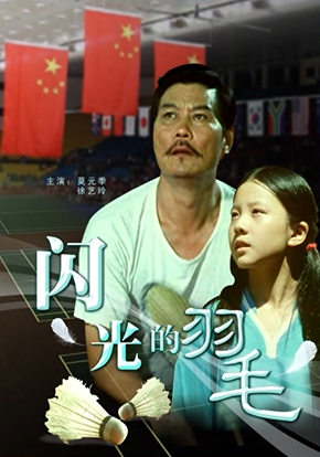 [2008][中国大陆]《闪光的羽毛》[汉语普通话][4.5GB][百度网盘]