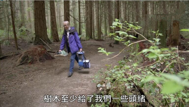 纪录片《真菌如何造就世界/改变地球的真菌》[1080P][1集 原声中字][百度网盘]