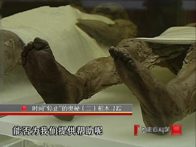 纪录片《走近科学》[1080P][2011全年共305集 国语中字][百度网盘]