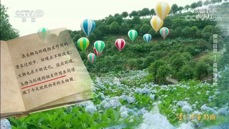 纪录片《跟着书本去旅行》[720P][2022年7月共20集 国语中字][百度网盘]