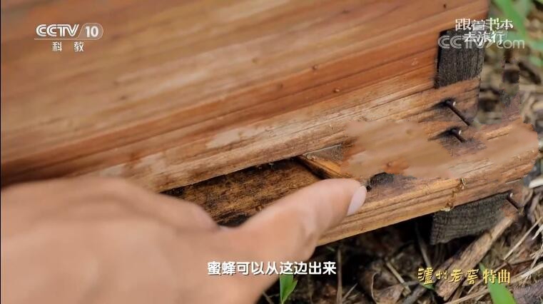 纪录片《跟着书本去旅行》[720P][2022年11月共22集 国语中字][百度网盘]