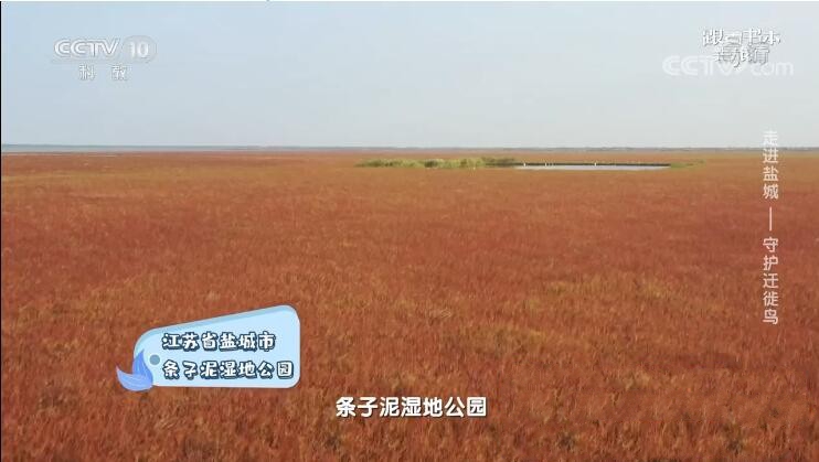 纪录片《跟着书本去旅行》[720P][2022年12月共19集 国语中字][百度网盘]