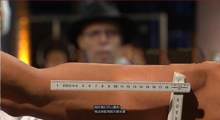 纪录片《基础解剖学》[720P][4集 英语中字][百度网盘]