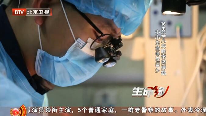 纪录片《生命缘》[720P][第四季共30集 国语中字][百度网盘]