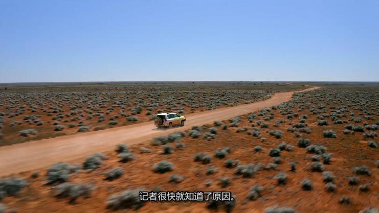 纪录片《到底是什么？What on Earth？》[1080P][第10季共10集 英语中字][百度网盘]