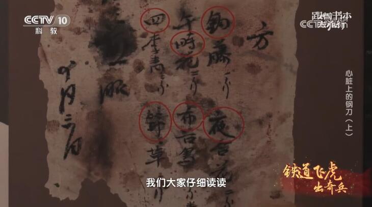 纪录片《跟着书本去旅行》[1080P][2023年下半年全143集 国语中字][百度网盘]