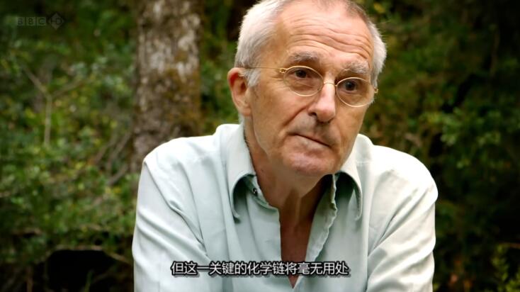 纪录片《人体奥妙之细胞的暗战》[1080P][第1季共1集 英语中字][百度网盘]