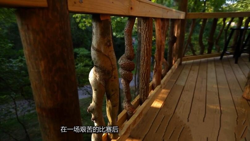 纪录片《树屋大师》[1080P][第六季共9集 英语中字][百度网盘]