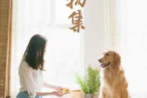 纪录片《造物集》[1080P][第一季共14集 国语中字][百度网盘]