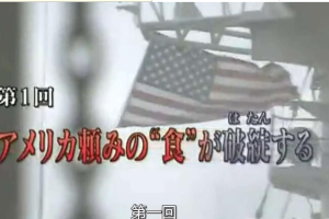 纪录片《世界粮食危机 2008》[1080P][2集 日语配音中文字幕][百度网盘]