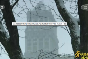 纪录片《劳动铸就中国梦》[1080P][6集国语 配音中文字幕][百度网盘]