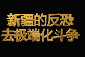 纪录片《新疆的反恐 去极端化斗争 2019》[1080P][1集 国语配音中文字幕][百度网盘]