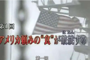 纪录片《世界粮食危机 2008》[1080P][2集 日语配音中文字幕][百度网盘]