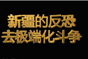 纪录片《新疆的反恐 去极端化斗争 2019》[1080P][1集 国语配音中文字幕][百度网盘]