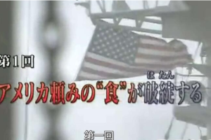 纪录片《世界粮食危机 2008》[1080P][2集 日语配音中文字幕][百度网盘]