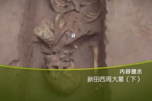 纪录片《新田西周大墓》[1080P][全2集 国语配音中文字幕][百度网盘]