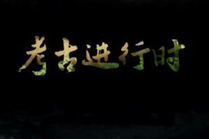 [记录片]《2022考古进行时》[全季共18集  国语中字][百度网盘]