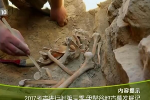 [记录片]《2017考古进行时》[全4季44集  国语配音中文字幕][百度网盘]