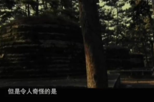[记录片]《帝国的背影》[5集 国语配音中文字幕][百度网盘]