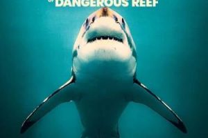 [记录片]《危险礁巨鲨 Megasharks of Dangerous Reef》[第1季共1集  英语中字][百度网盘]