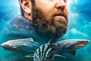 纪录片《外星鲨鱼：奇怪的新世界 Alien Sharks: Strange New Worlds》[1080P][第1季共1集 英语中字][百度网盘]