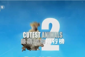 纪录片《最萌动物排行榜/72大可爱动物》[1080P][6集 国语配音中文字幕][百度网盘]